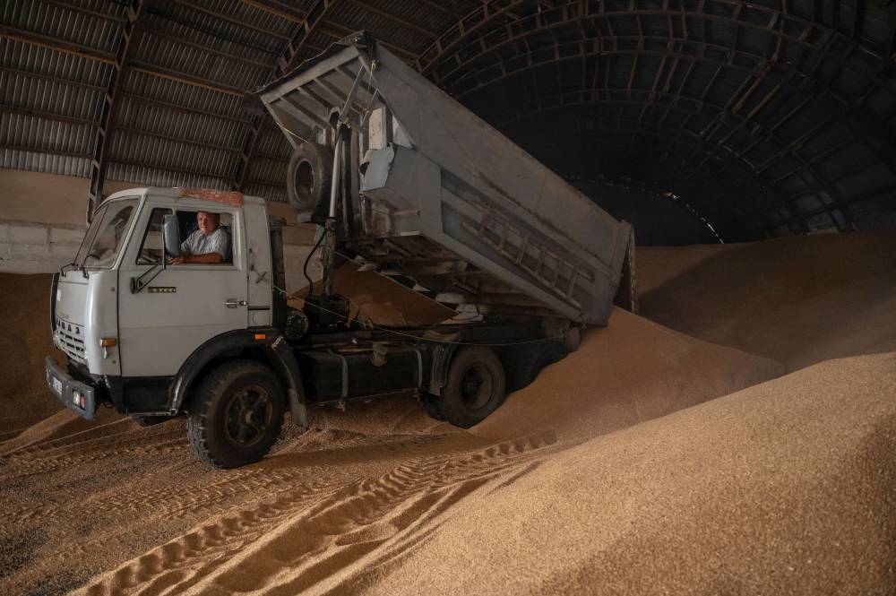 Ukraine Has Harvested 17 5 Million Tonnes Of Grain So Far Traders And