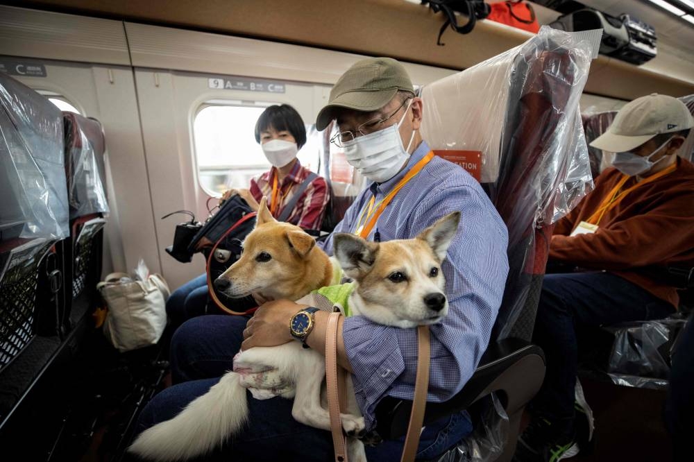 A paw-some day trip: Dogs ride Japan bullet train