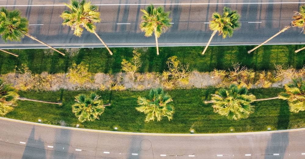 Drought may end up changing the image of Californian lawns