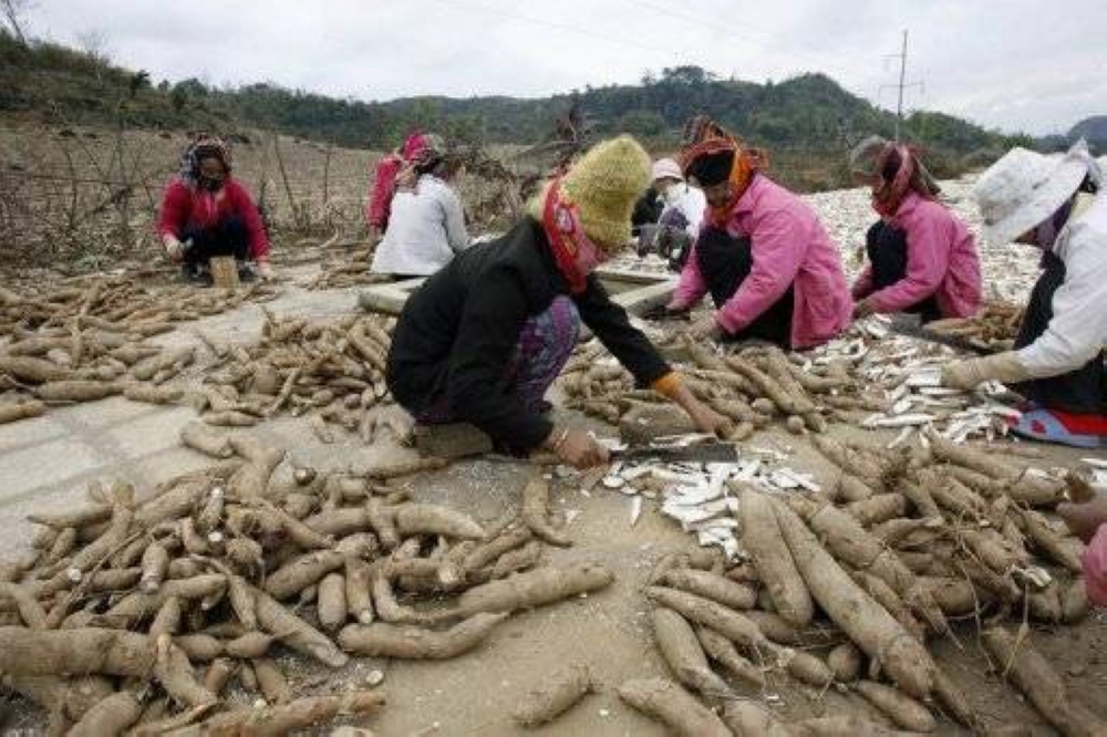 About 20 million farmers on the continent will benefit from the fund as Africa faces a shortage of at least 30 million metric tonnes of food, especially wheat, maize, and soybeans imported from Russia and Ukraine. — AFP pic