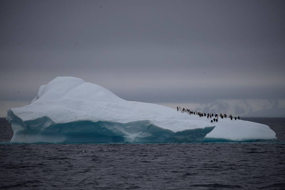 Bacteria with antibiotic resistant genes discovered in Antarctica, scientists say