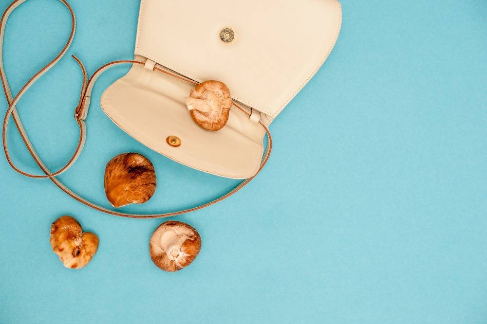 From plate to closet, how mushrooms are changing the face of fashion