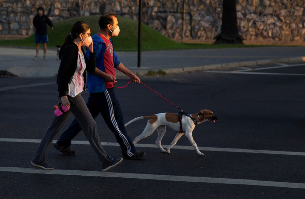 Walkies! Indian official and wife given marching orders over dog row