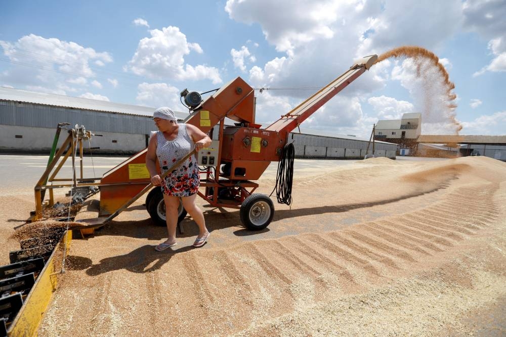 An employee loads wheat near a grain store in the settlement of Raduga in Stavropol Region, Russia June 30, 2021. — Reuters pic