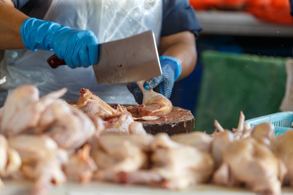 Ministry of Agriculture and Food Industries secretary-general Datuk Haslina Abdul Hamid said the move to import chickens and the Cabinet directive to stop poultry exports from June 1 would be able to stabilise the supply of poultry soon. — Picture by Devan Manuel