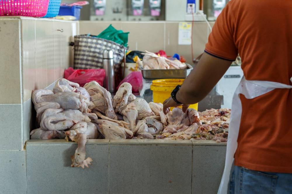 The supply of chicken in Sabah is sufficient ahead of the Kaamatan Festival, which will be celebrated from tomorrow until May 31, said Ministry of Domestic Trade and Consumer Affairs (PPDNHEP) Sabah director Georgie Abas. — Picture by Devan Manuel