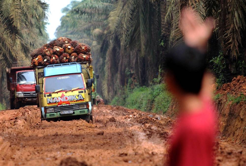 Indonesia aims to issue first palm oil export permits since ban