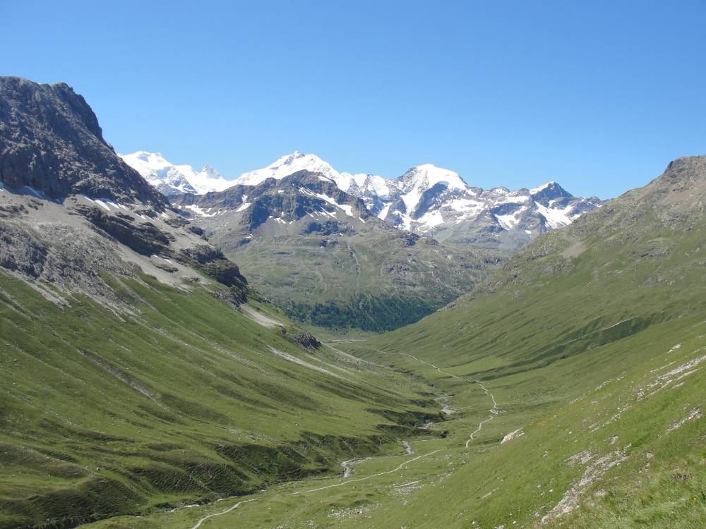 Seen from space, the snow-capped Alps are going green