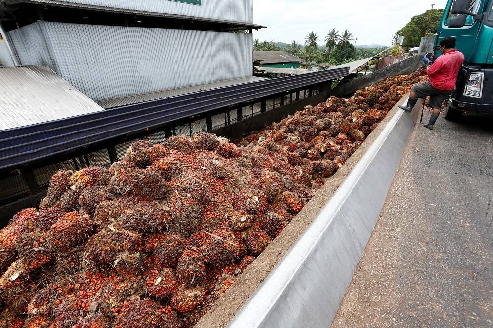 Zuraida says strengths of Malaysian Sustainable Palm Oil standard often overlooked