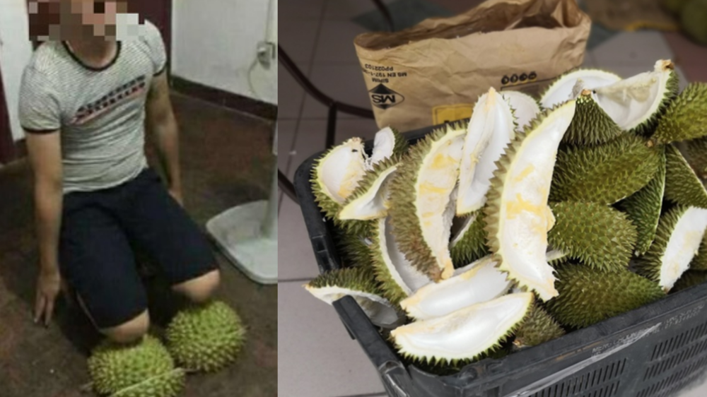 Online seller sells durian shells for RM0.18, says can be used to 'punish husband'