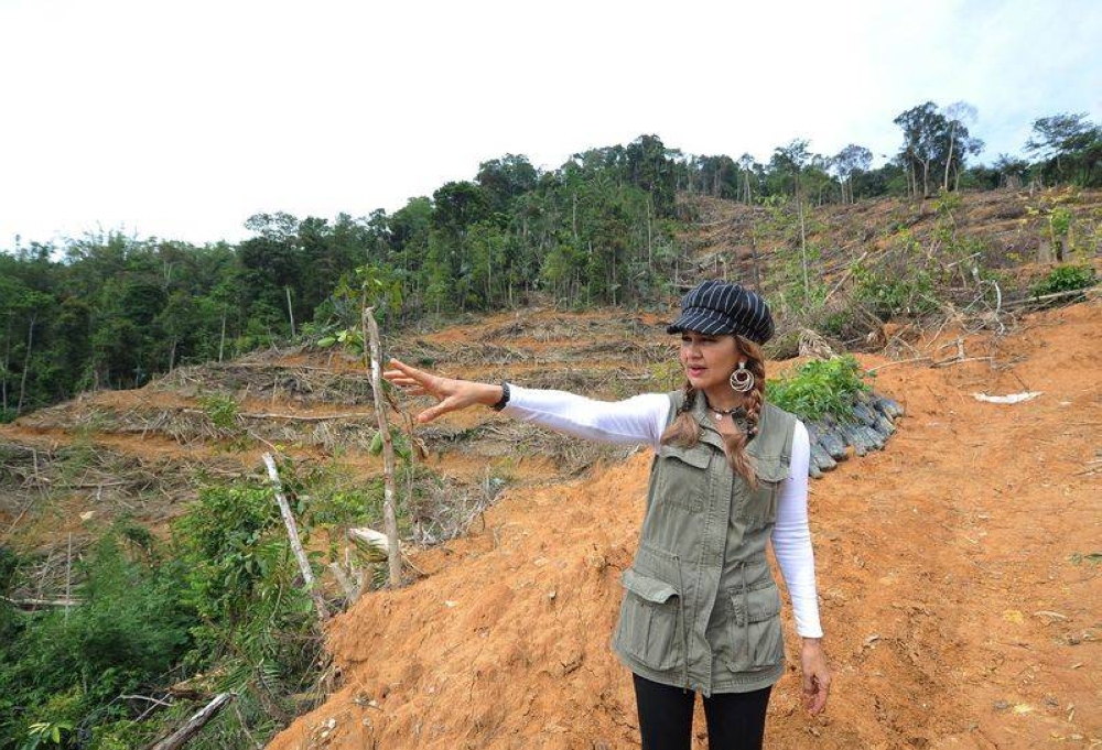 Report: Pahang govt sues environmental activist for defamation over logging issue