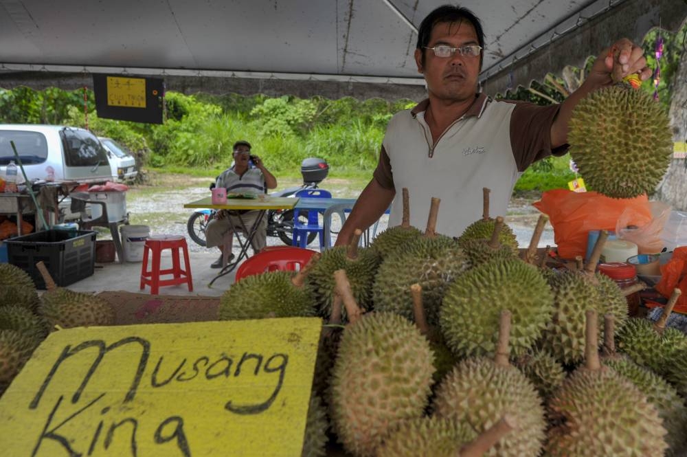 Your next Musang King durian could soon come with a Sirim certification