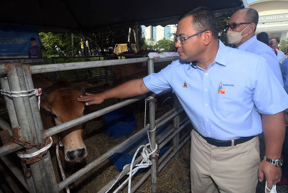 MB: Proposed Kuala Selangor Nature Park upgrading work does not encroach on mangroves