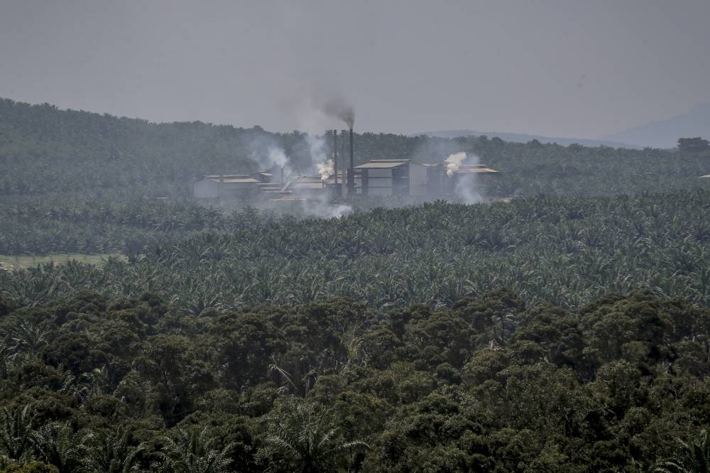 Thick smoke from a crude palm oil factory at Parit Jawa, Johor. — Picture by Firdaus Latif