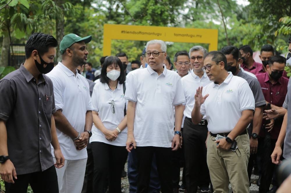 Kebun-Kebun Bangsar community garden again served with eviction notice, merely weeks after PM's praise