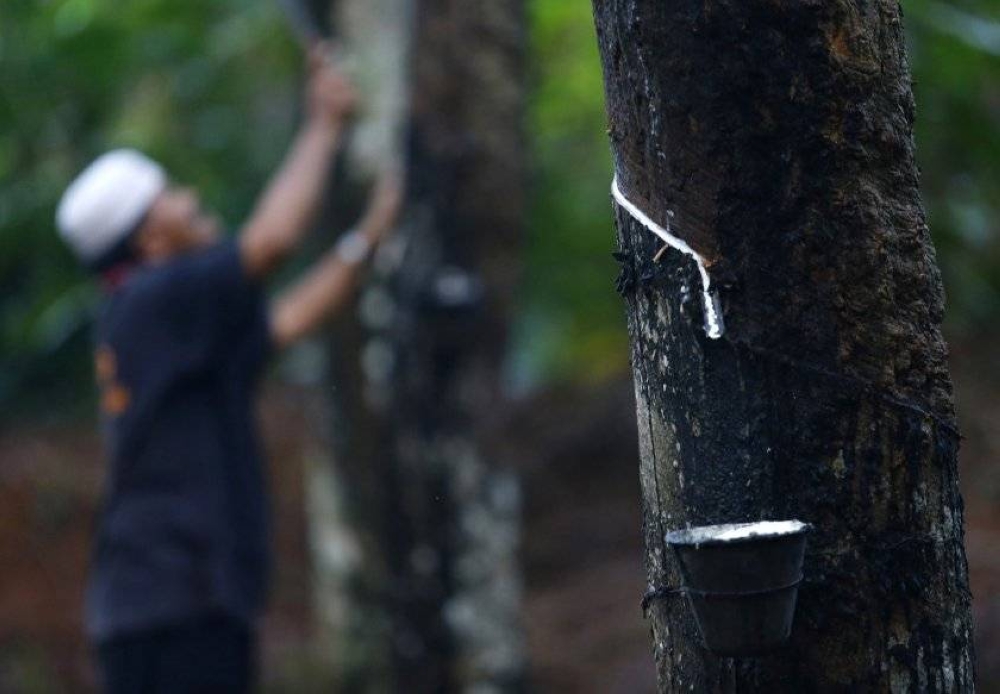 Rubber market ends lower, tracking weaker regional futures market