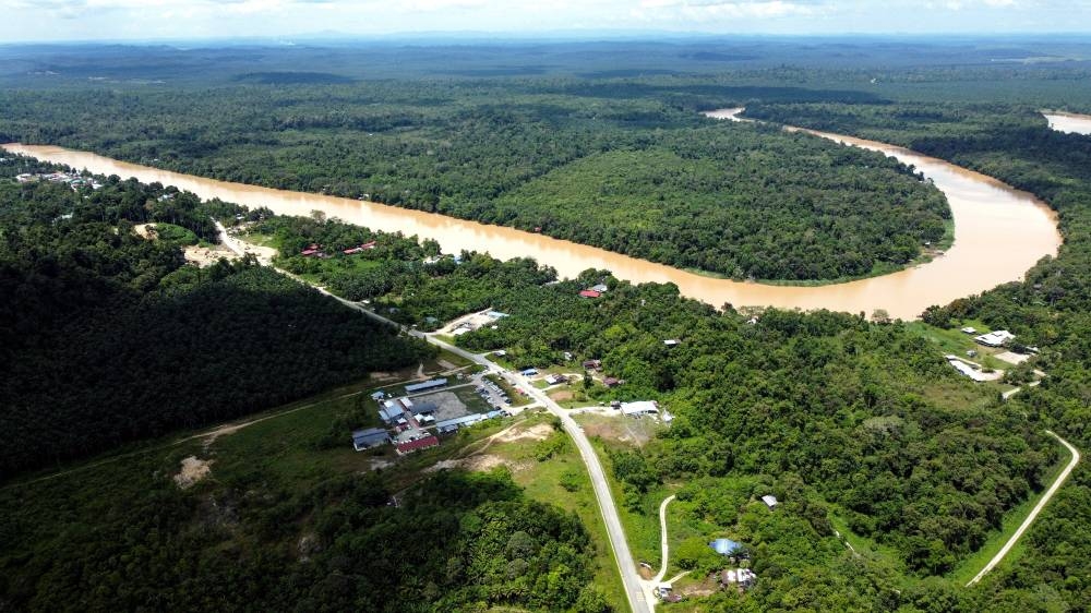 The Kinabatangan river is the second longest in Malaysia with one of the richest ecosystems in the world. — Bernama pic