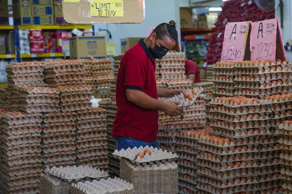 A worker arranges eggs for sale at a shop in Kuala Lumpur February 15, 2022. — Picture by Yusof Mat Isa