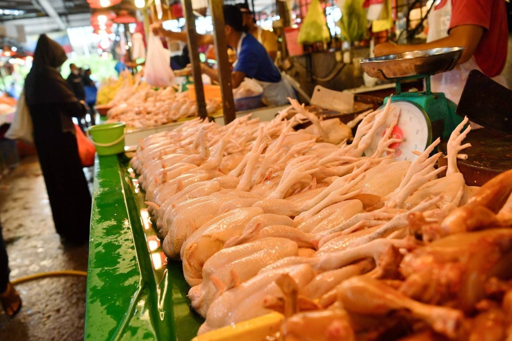 Observations at supermarkets in Kuching and Siburan yesterday morning found super chicken sold at RM10.80 per kilogramme and Grade A eggs at RM14.10 per tray (or 47 sen each). ― Bernama pic