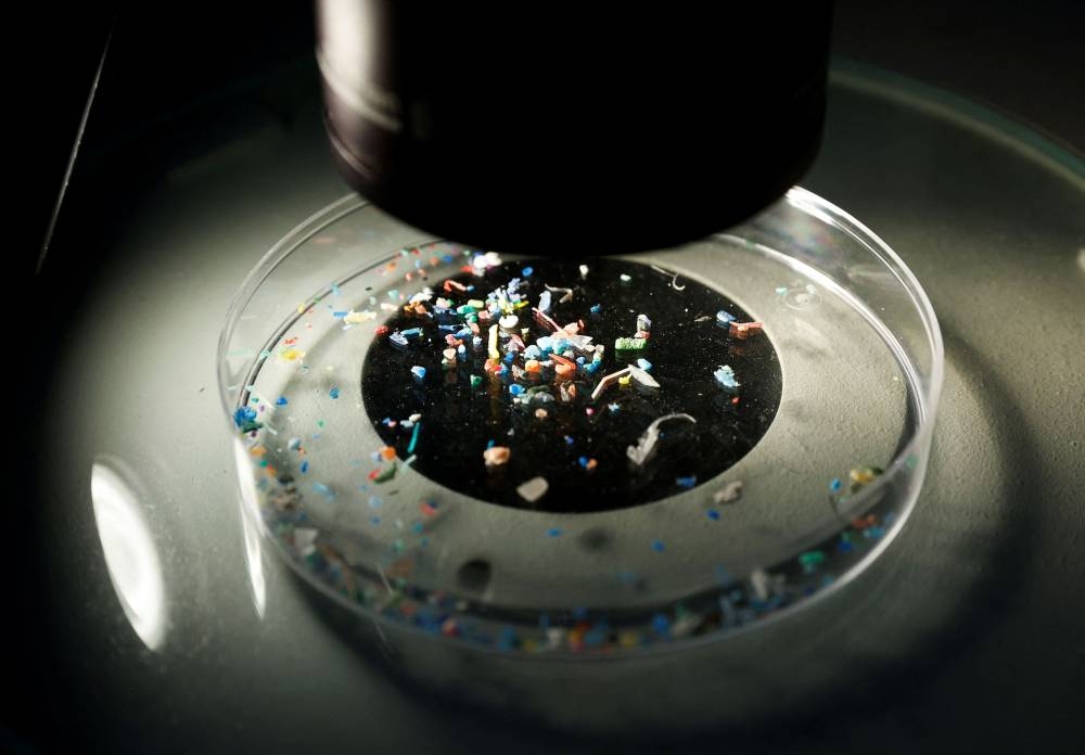 Marine scientist Anna Sanchez Vidal shows microplastics collected from the sea with a microscope at Barcelona's University, during a research project ‘Surfing for Science’ of Barcelona's University to assess contamination by microplastics on the coastline, at Punta del Cros in Llanca, near Figueres, Spain, July 4, 2022. — Reuters pic