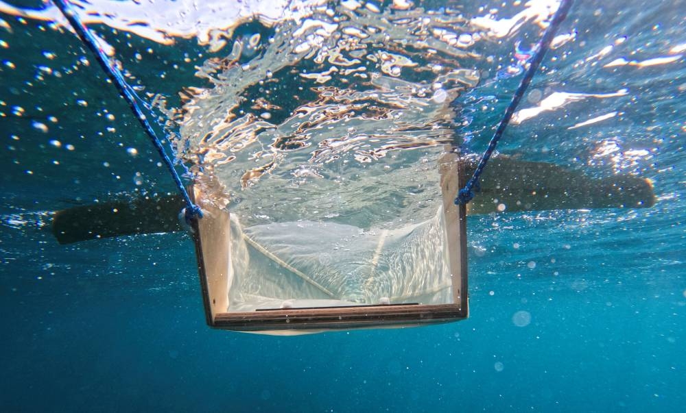 A crawl net is dragged by volunteers rowing a kayak during a research project ‘Surfing for Science’ of Barcelona's University to assess contamination by microplastics on the coastline, at Punta del Cros in Llanca, near Figueres, Spain, July 4, 2022. — Reuters pic