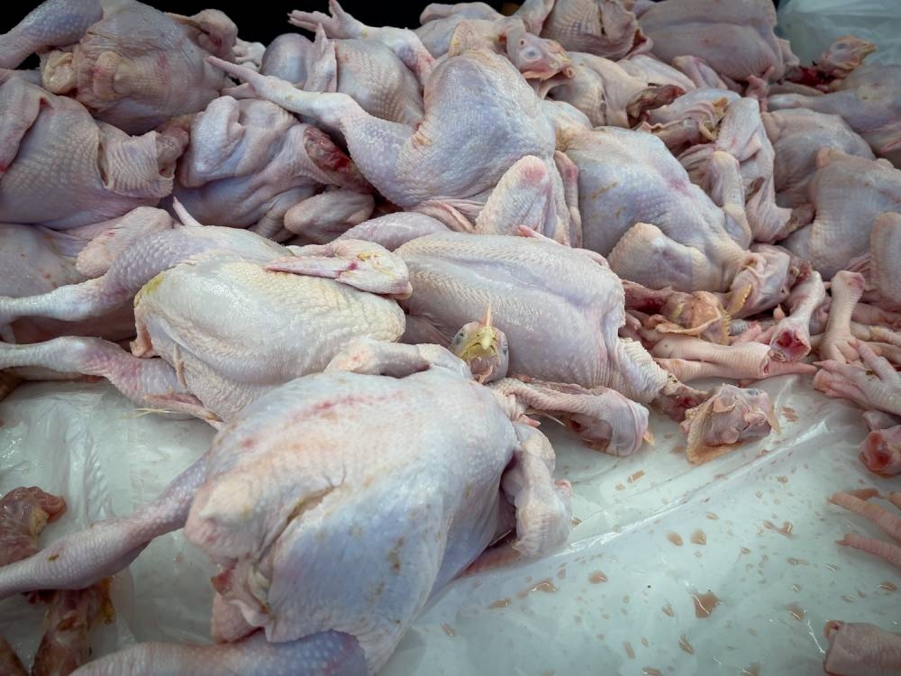 Whole chicken are seen at Econsave Jalan Pasar Baru, Pekan Semenyih, June 8, 2022. — Picture by Devan Manuel