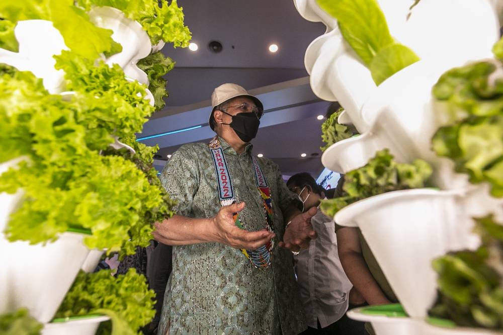 Communications and Multimedia Minister Tan Sri Annuar Musa at the launch of the Agrex (Agro-Culture Acceleration Programme) in Maeps, Serdang August 7, 2022. — Picture by Hari Anggara