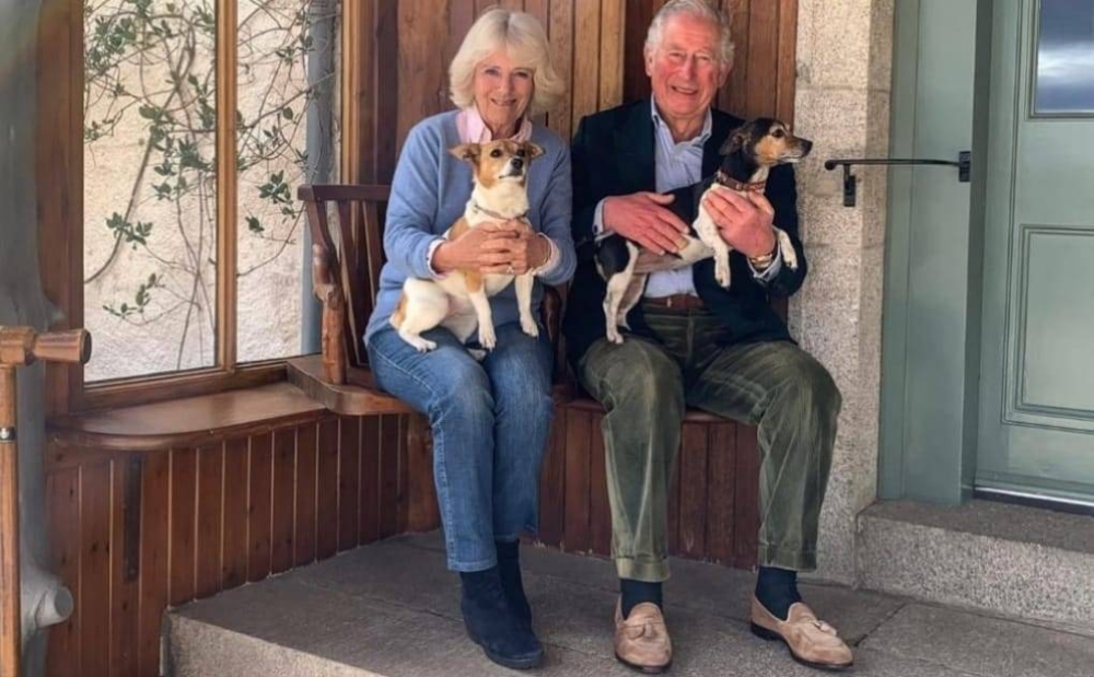 Two rescue dogs will join King Charles III and Queen Consort Camilla when the royal couple moves into Buckingham Palace. ― Picture via Instagram/ clarencehouse 