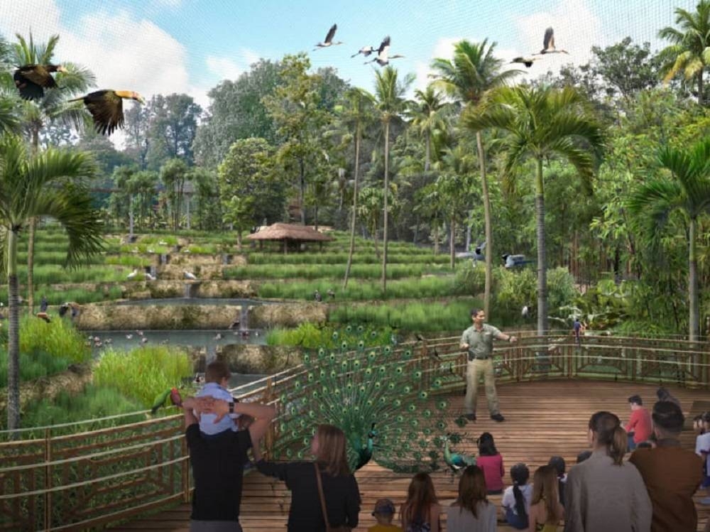 Singapore's new bird park featuring over 400 species set to open in