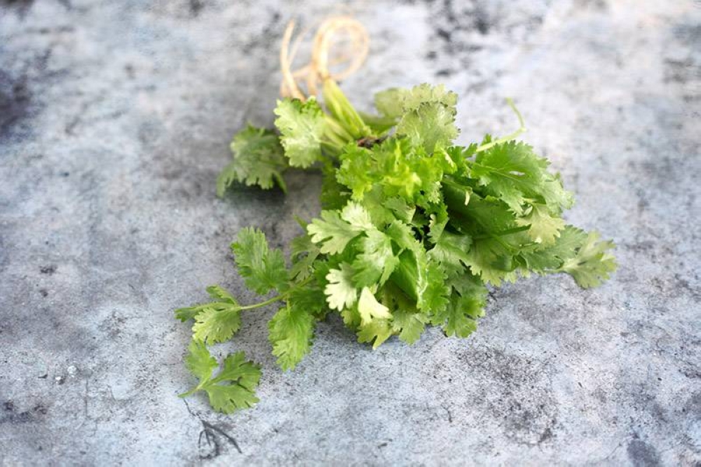 To add some freshness, garnish with cilantro leaves.