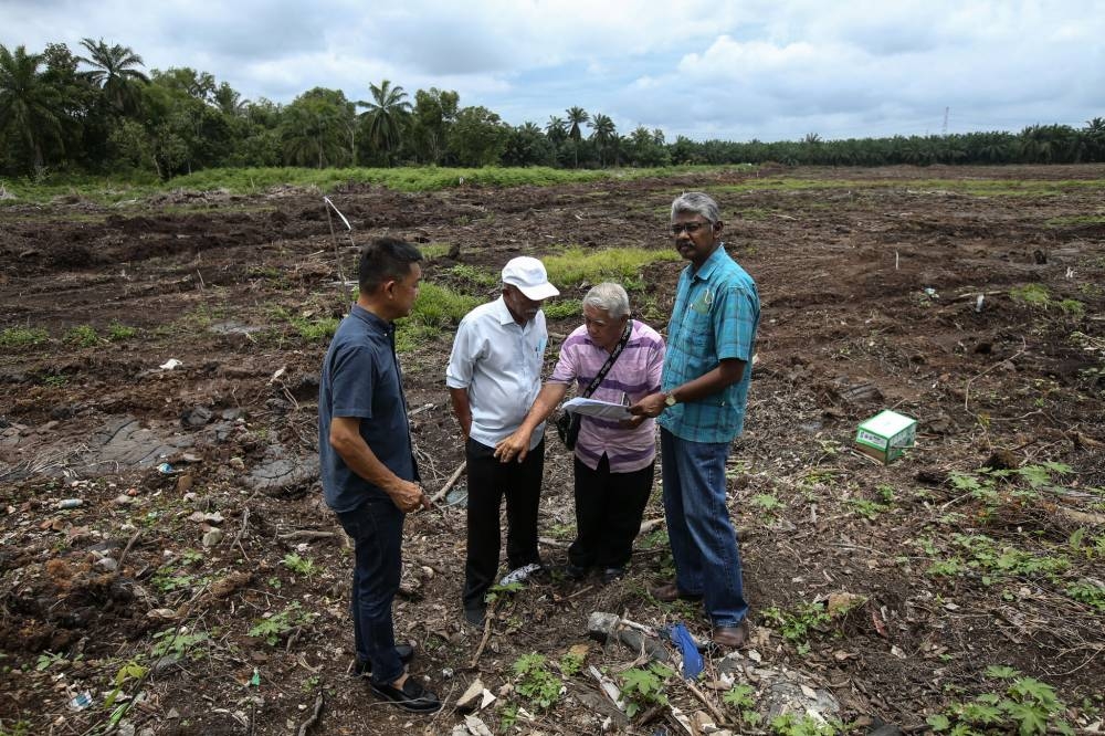 Nursery owners say that the land in Bukit Changgang is also at risk of flooding as it is low lying. — Picture by Ahmad Zamzahuri