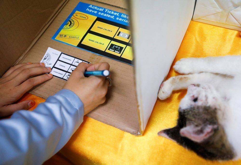 An undergraduate marks her ballot paper during a mock-up election to familiarise the first-time voter with the election procedure at International Islamic University Malaysia in Gombak November 14, 2022. — Reuters pic