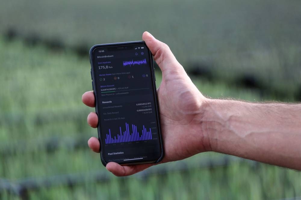 This photograph taken on December 7, 2022 shows Bert De Groot, 35, bitcoin engineer and owner of Bitcoin Brabant, shows on his smart phone graphics representing bitcoin miners' activity on the Braiins pool mining app in a greenhouse heated with bitcoin miners near Amsterdam. — AFP pic