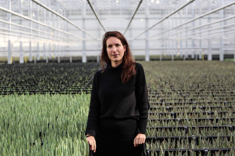 This photograph taken on December 7, 2022 shows Danielle Koning, 37, greenhouse worker, is posing for a photo among aloe vera plants in a greenhouse heated with bitcoin miners near Amsterdam. — AFP pic