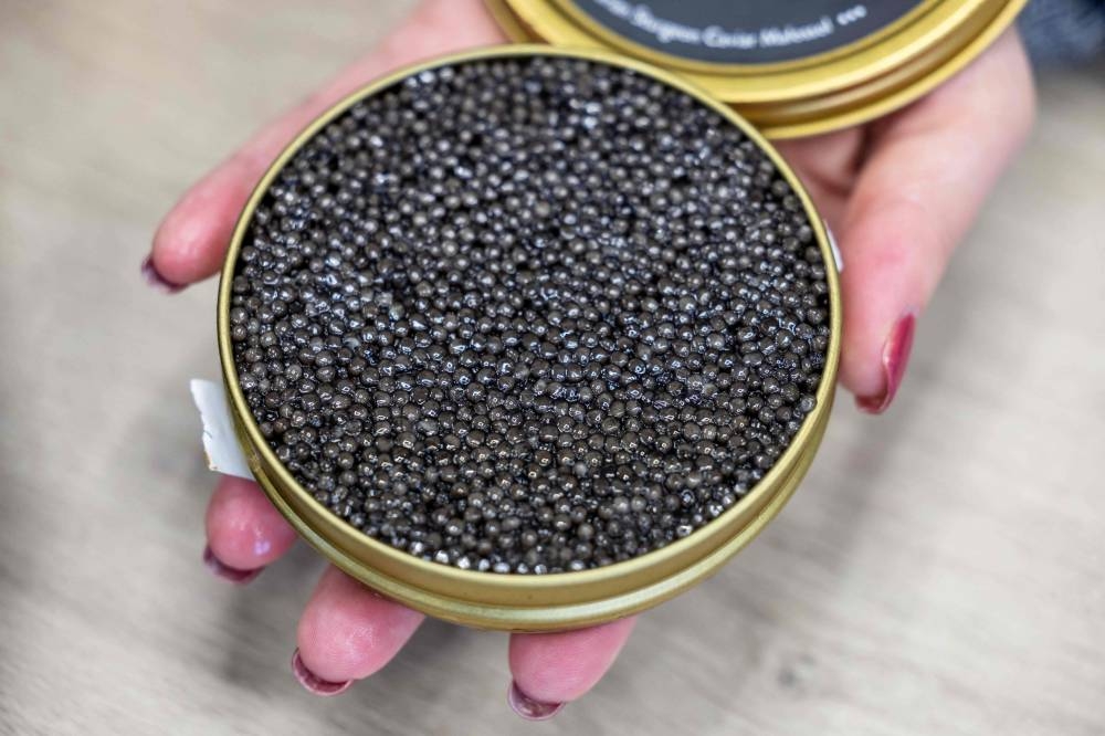 A tin can with caviar is shown at a fish farm in the northern Polish village of Rus on November 4, 2022. — AFP pic