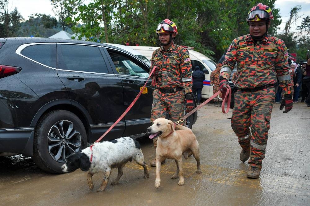 Personnel from a K9 unit are seen at the Father's Organic Farm campsite in Batang Kali December 18, 2022. — Bernama pic