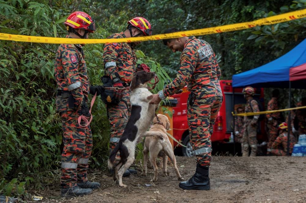 Rescue dogs have played an integral role in search and rescue operations. — Picture by Shafwan Zaidon