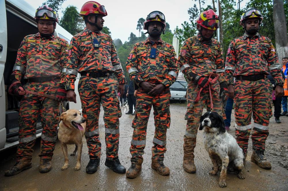 The search and rescue operations to locate the missing victims resumed at 8am today, involving 115 personnel from various agencies and dogs from the Canine Detection Unit (K9). — Bernama pic   