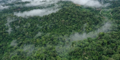 ‘Flying rivers’ are atmospheric waterways that are crucial to the ...