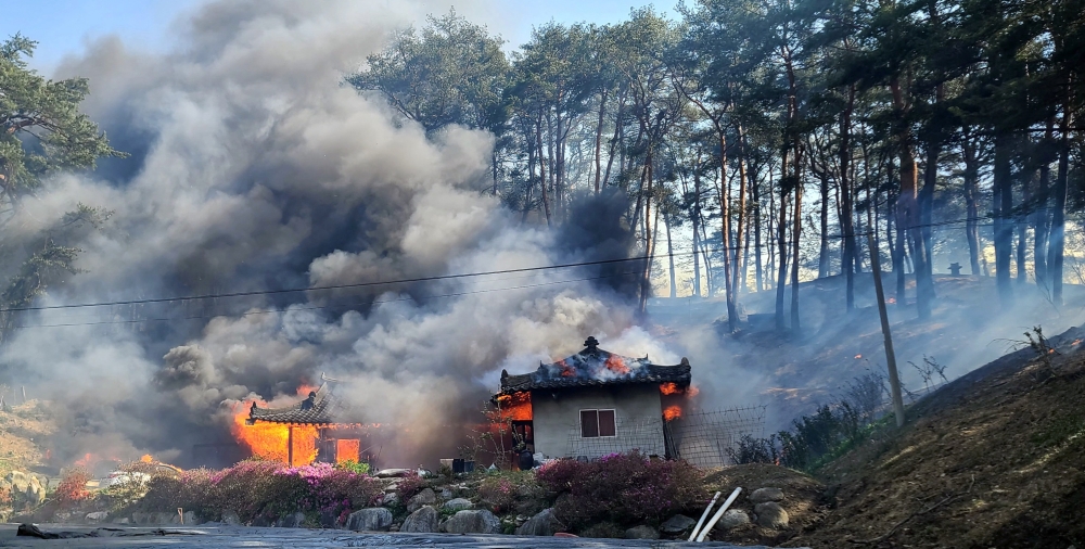 The fire appears to have started after strong winds blew a tree over onto live overhead power cables, igniting flames. — Reuters pic