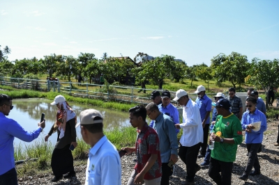 Mat Sabu：农业部打算探索咸水稻种植以促进……