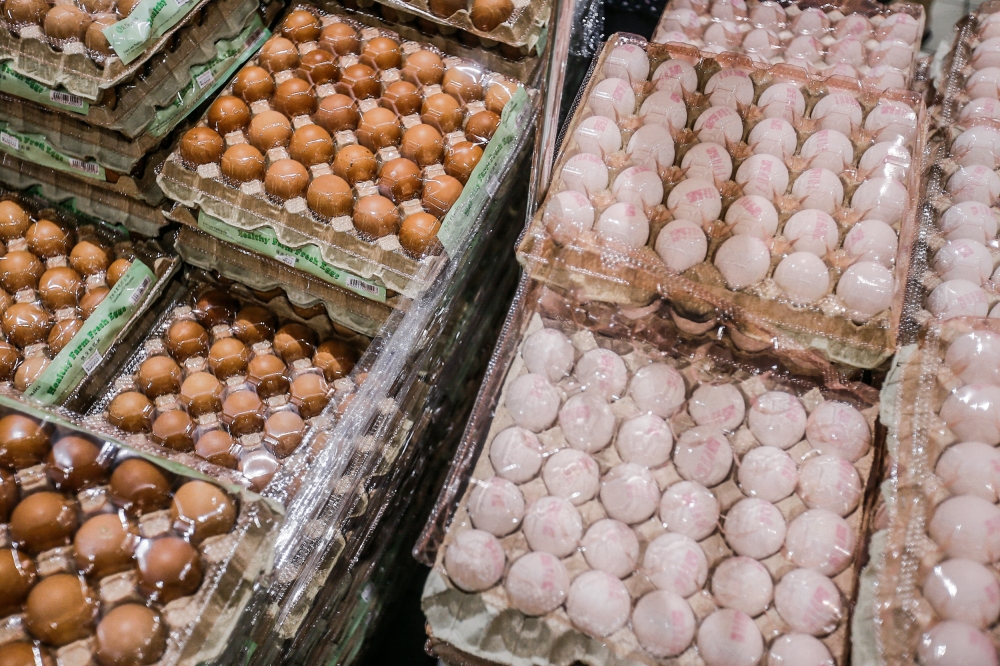 In April 2023, the average prices were RM10.45 per kilogramme for chicken, 47 sen per egg for Grade A, 45 sen/egg (Grade B), and 44 sen/egg (Grade C). — Picture by Hari Anggara