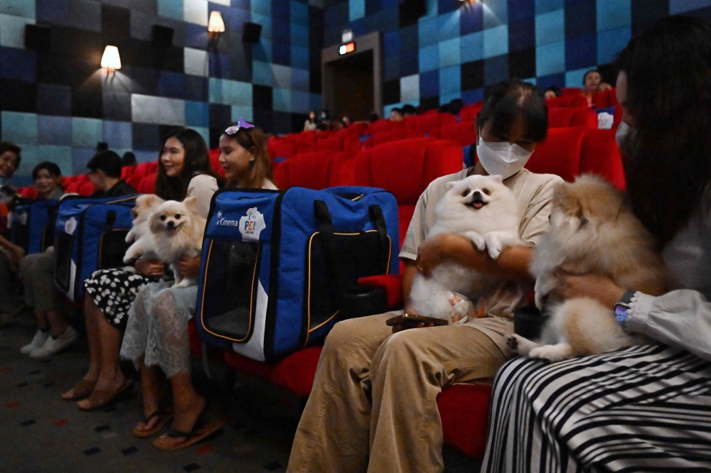 Pets and their owners sit inside a movie theatre on the opening day of the pet-friendly i-Tail Pet Cinema opening at Major Cineplex inside Mega Bangna shopping mall in Samut Prakan June 10, 2023. — AFP pic