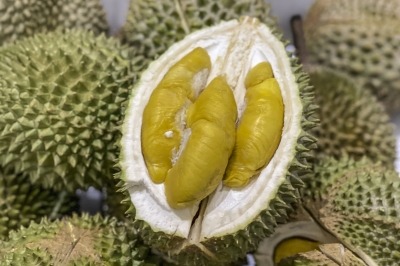 Eyeing China market, Royal Pahang Durian unveils plan for Raub farmers ...