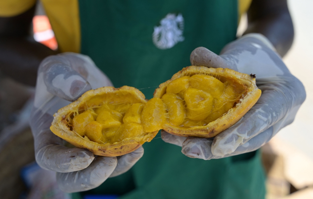 A man holds a maad, from the Saba Senegalensis vine that grows wild and is common to the Sahel, in a street in Dakar on June 13, 2023. The soft maad shells hold grains inside the edible flesh. — AFP pic 