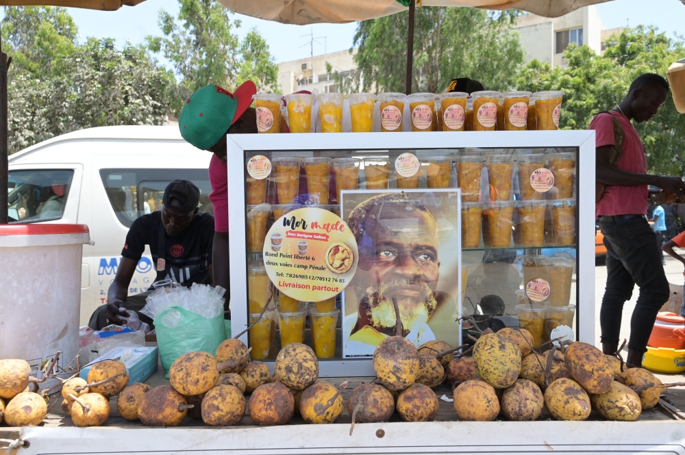 Maad has different names across the region from Ivory Coast to Mali and Guinea. But it is particularly prized in Senegal and for sale on virtually every street corner in Dakar. It is eaten with salt, sugar or chilli, crushed as juice or made into jam. — AFP pic 