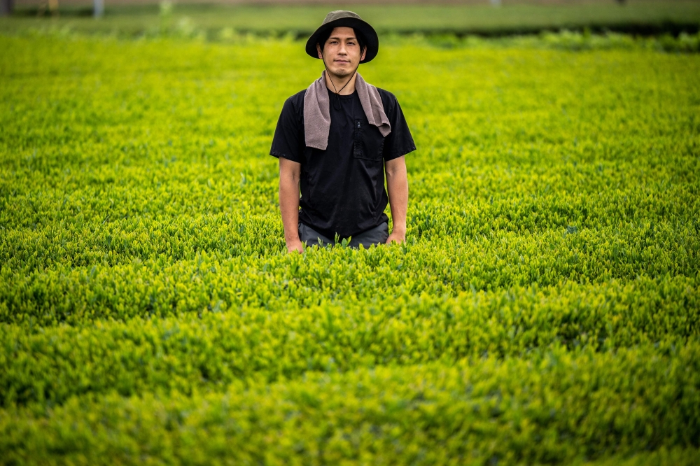 Gambar yang diambil pada 8 Jun 2023 menunjukkan petani teh Ryutaro Matoba, yang menggunakan kelp kering sebagai baja, bergambar di ladangnya di bandar Iruma, Wilayah Saitama.  — Gambar AFP