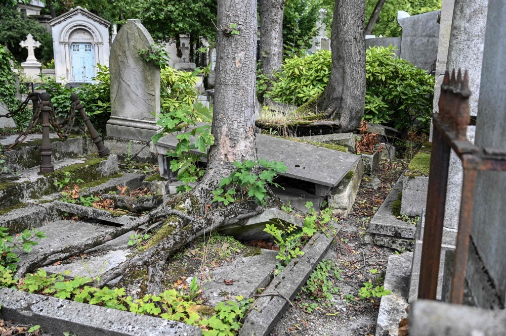 Vegetation dislodges the structures at the Pere Lachaise cemetery in Paris August 8, 2023. — AFP pic