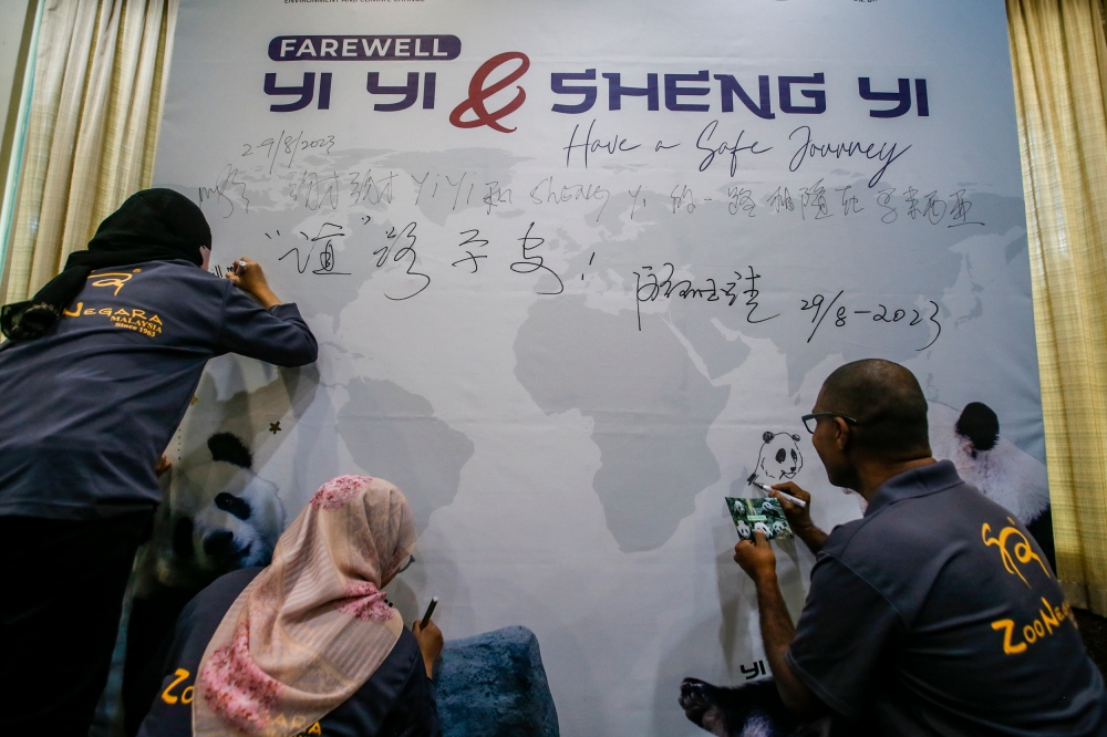 Zoo Negara staff write a farewell message at the Giant Panda Convention Centre (GPCC) in Zoo Negara during the send-off ceremony for Yi Yi and Sheng Yi, August 29, 2023. — Picture by Hari Anggara