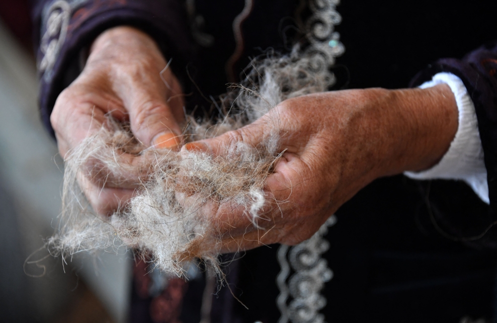 Wool is collected from cattle, sheep and goats and “nothing goes to waste.”— AFP pic